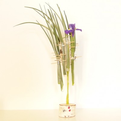 yau flori_copac cu iris