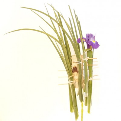 yau flori_copac cu iris