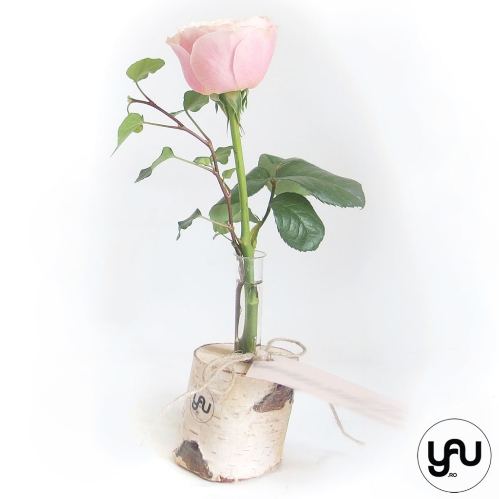 trandafiri de gradina_yau concept #elena toader #suport yau cu trandafiri de gradina