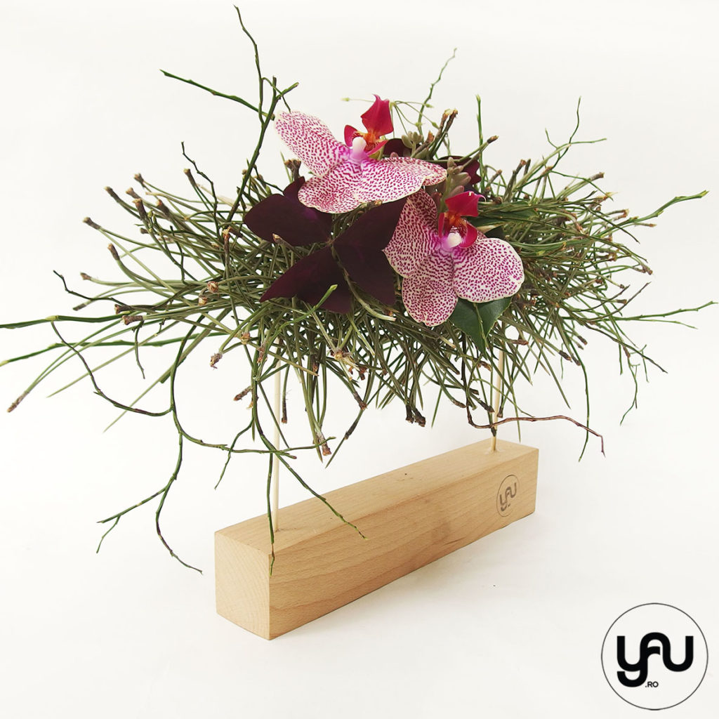 orhidee plante suculente si pin aranjament floral pentru MARTIE _ yau concept _ elenatoader (2)
