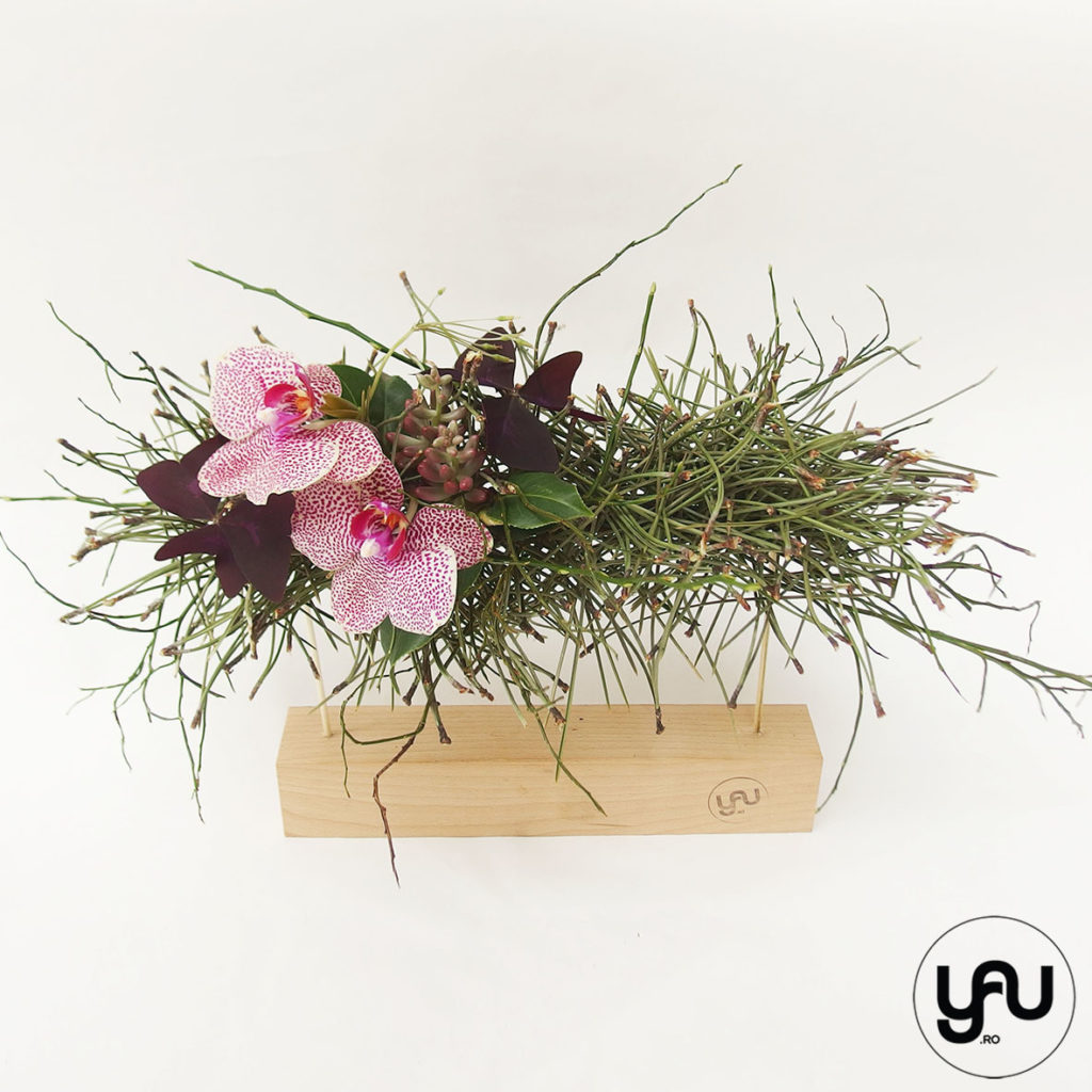 orhidee plante suculente si pin aranjament floral pentru MARTIE _ yau concept _ elenatoader (3)