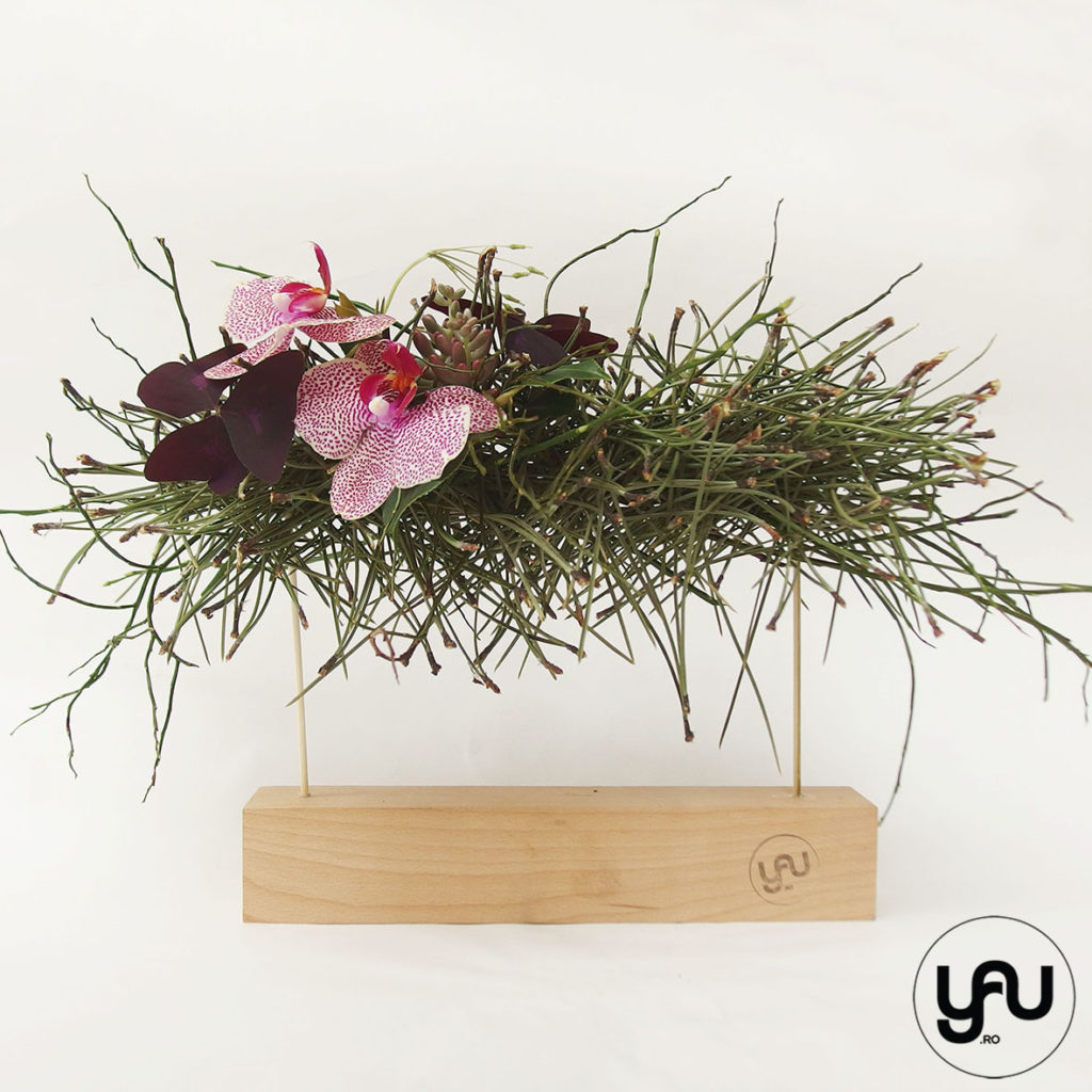 orhidee plante suculente si pin aranjament floral pentru MARTIE _ yau concept _ elenatoader (4)