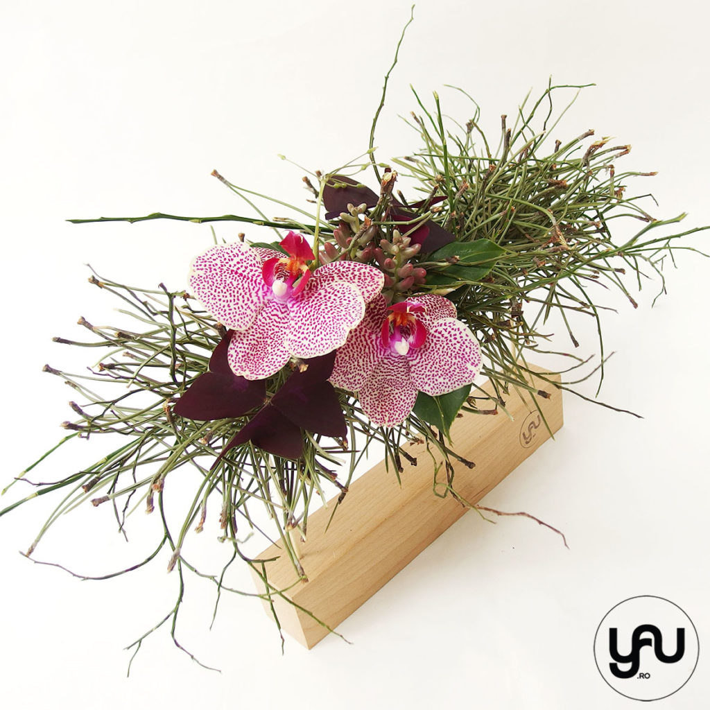 orhidee plante suculente si pin aranjament floral pentru MARTIE _ yau concept _ elenatoader (5)