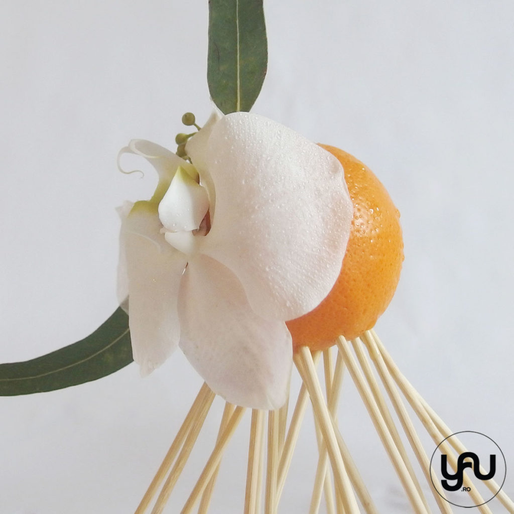 Orhidee si Portocale YaU Concept Elena TOADER